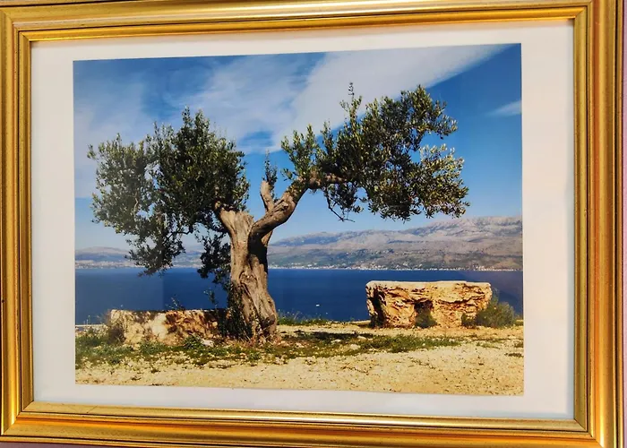 Olive Tree City Apartment