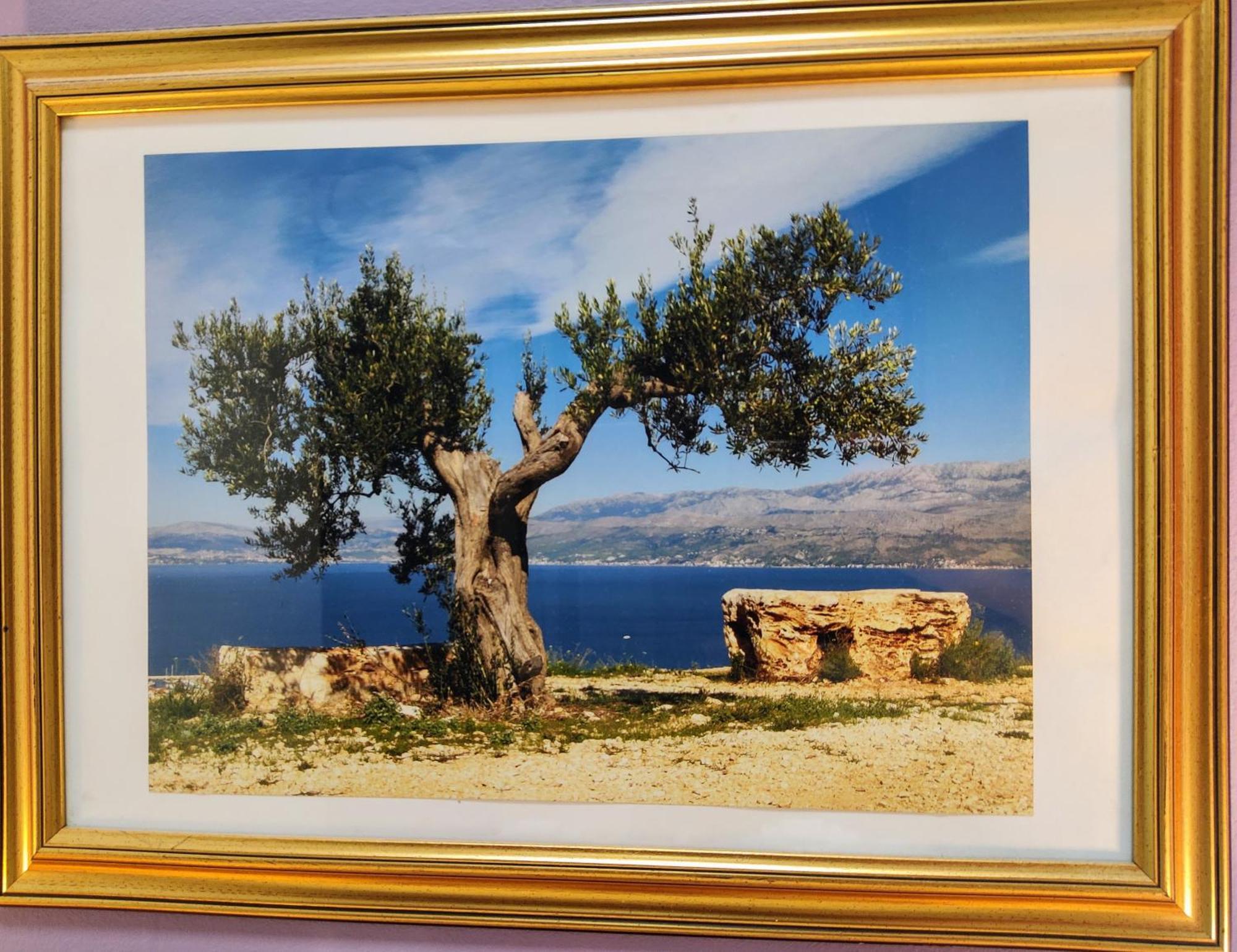 Apartment Olive Tree City
